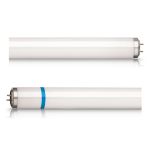 Philips TL-D Secura 18W - Schwarzlight | 60cm